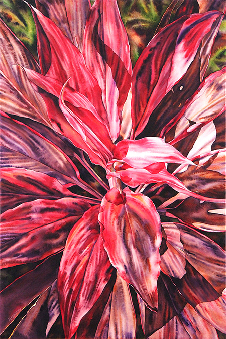 Cordyline Pink Flash by Pat Hall | Lethbridge Gallery